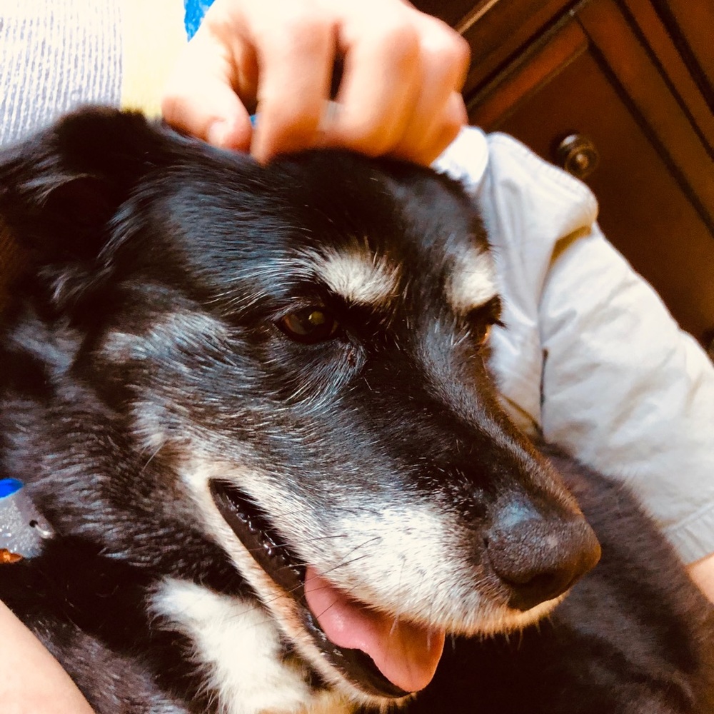 Meet your Posher, Russell